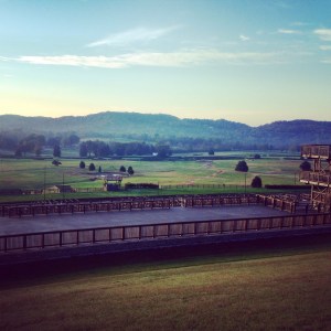Race began at the Iriqouis Steeplechase