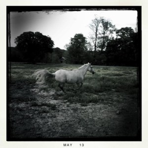 Photo by Candice Shoulders. @canditcha on Instagram