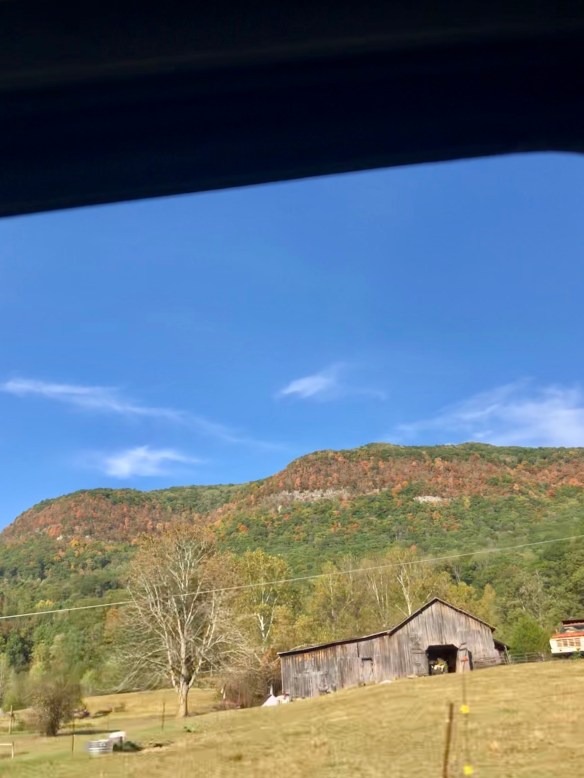 5A39E1B1-3124-4CD3-A341-0A45EB28B5A5