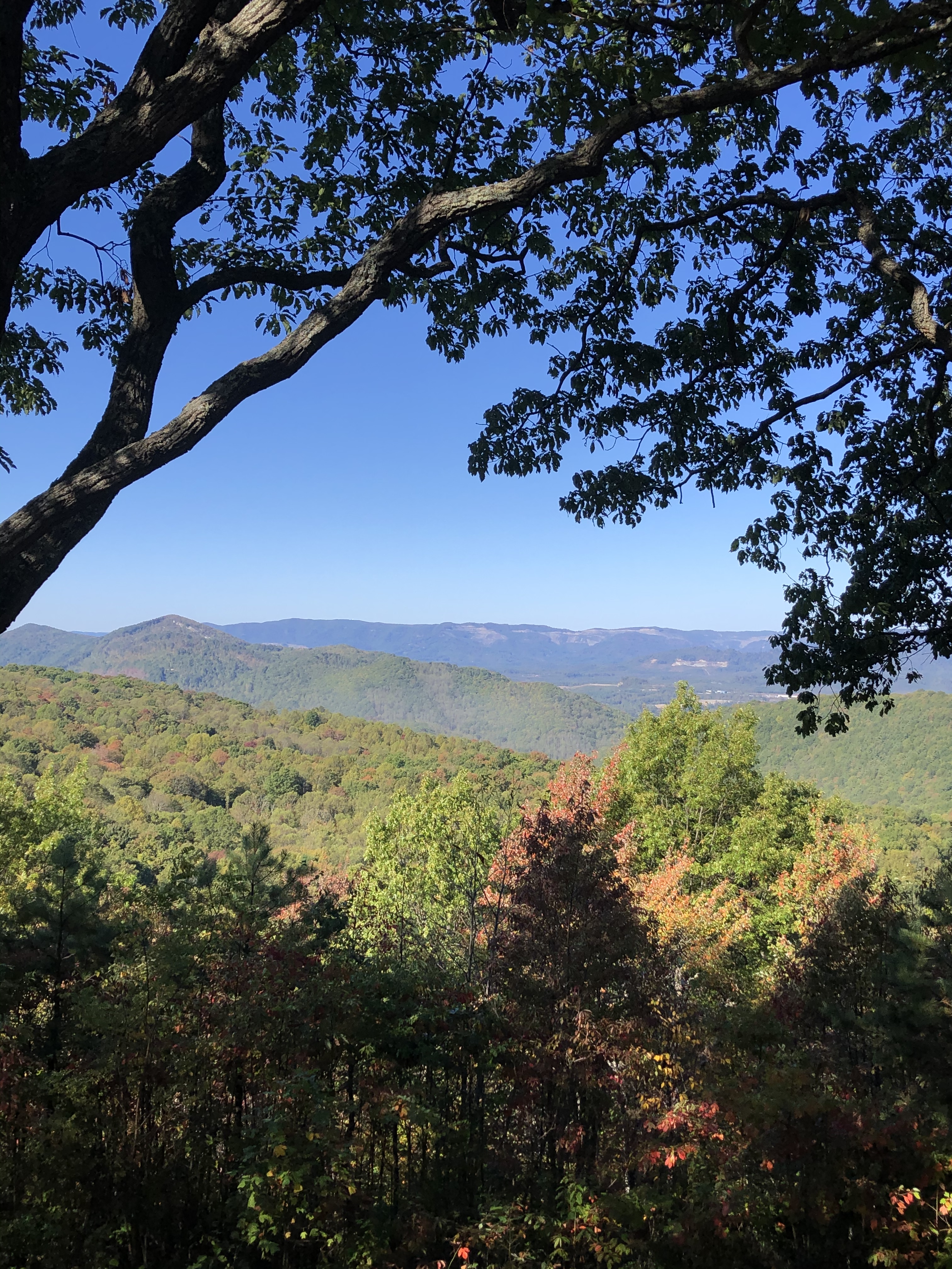 EDFDA8D5-8161-42A4-8AE9-4F899283B0C3