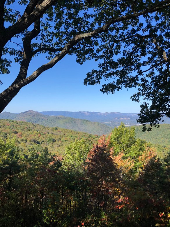 EDFDA8D5-8161-42A4-8AE9-4F899283B0C3