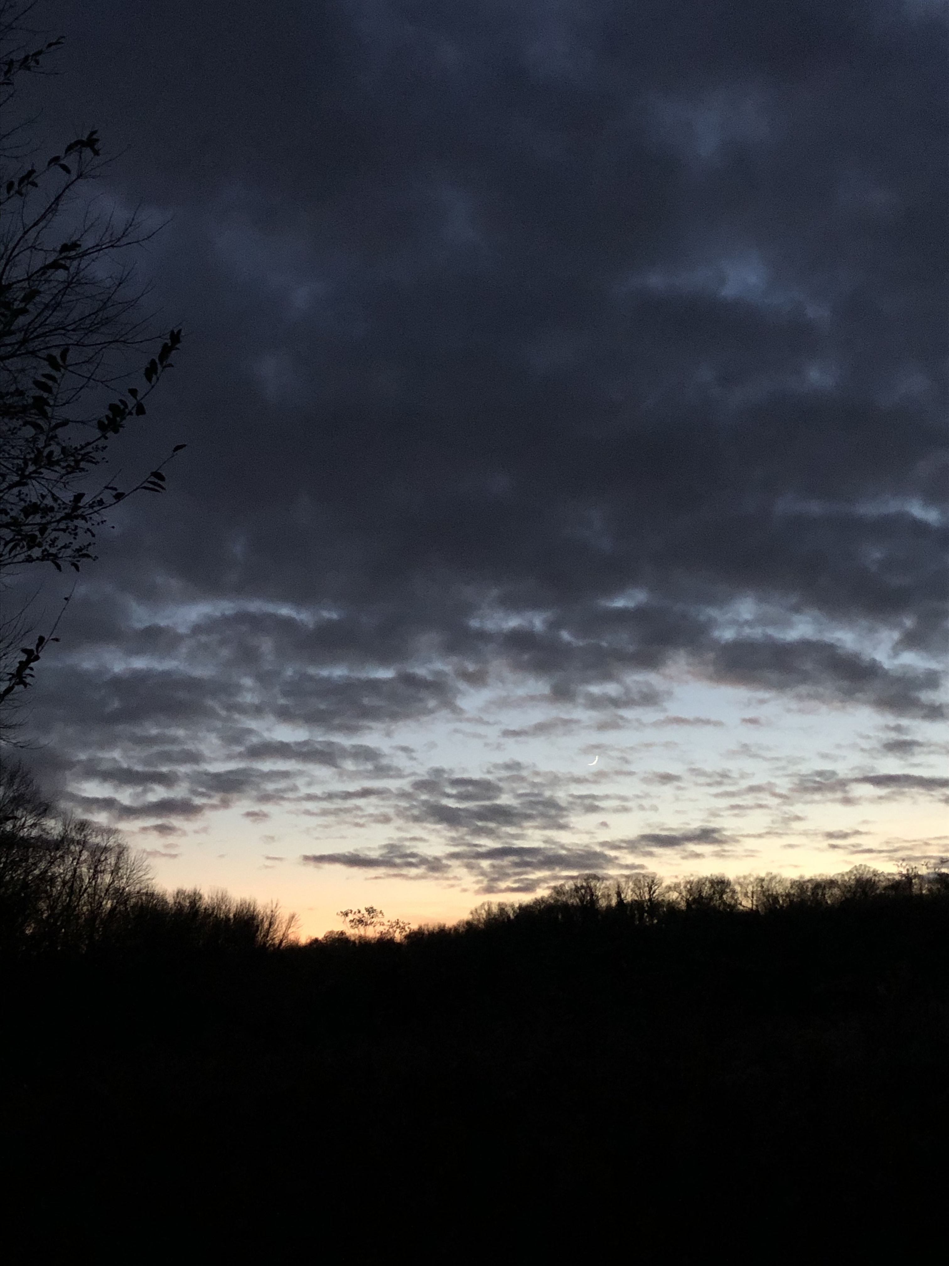 BCC39CC0-08D2-4B31-B479-37C8DA6CE30C