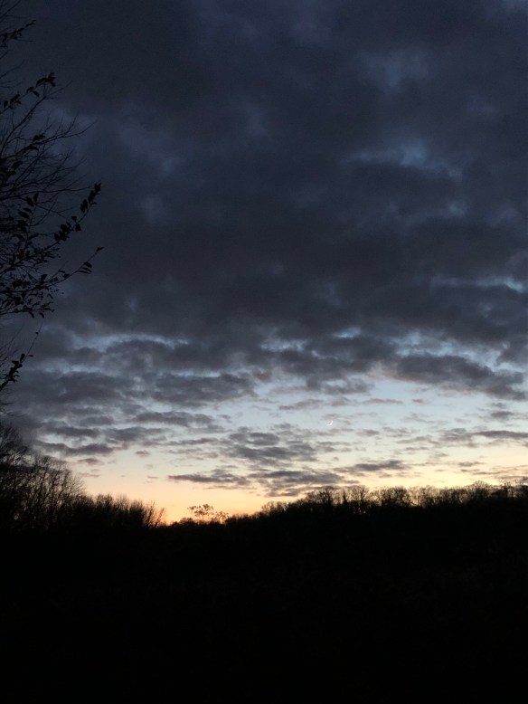 BCC39CC0-08D2-4B31-B479-37C8DA6CE30C